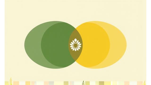 Schema visivo che illustra come combinare legumi e cereali per ottenere proteine complete.