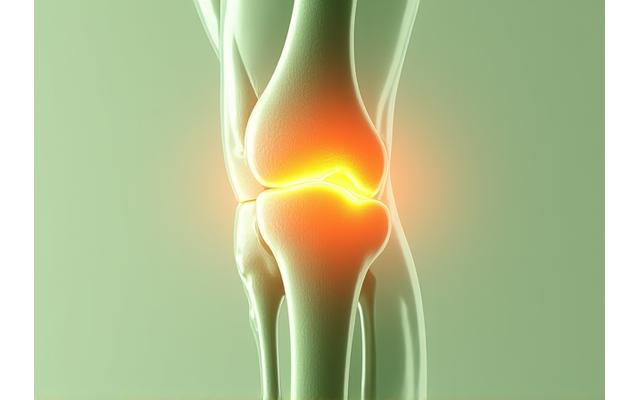 Vista anatomica di un ginocchio con muscoli e legamenti evidenziati, che irradia energia e supporto, per illustrare la salute delle articolazioni.